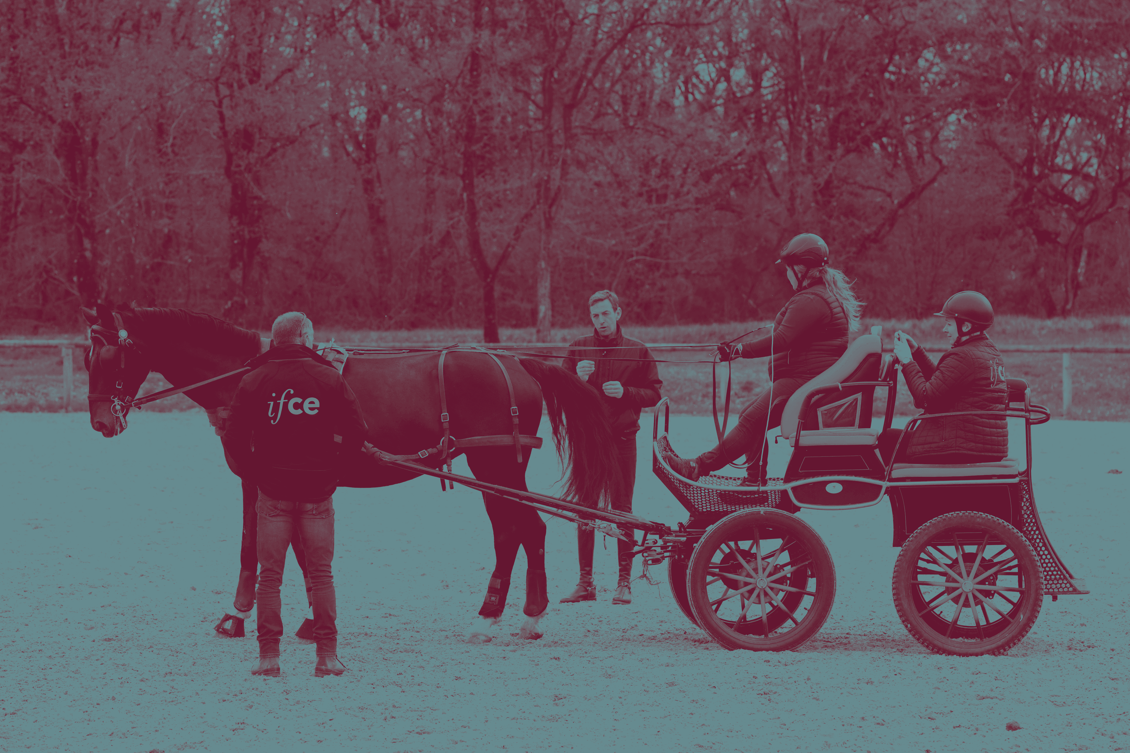 CS Utilisation et conduite d'attelages de chevaux