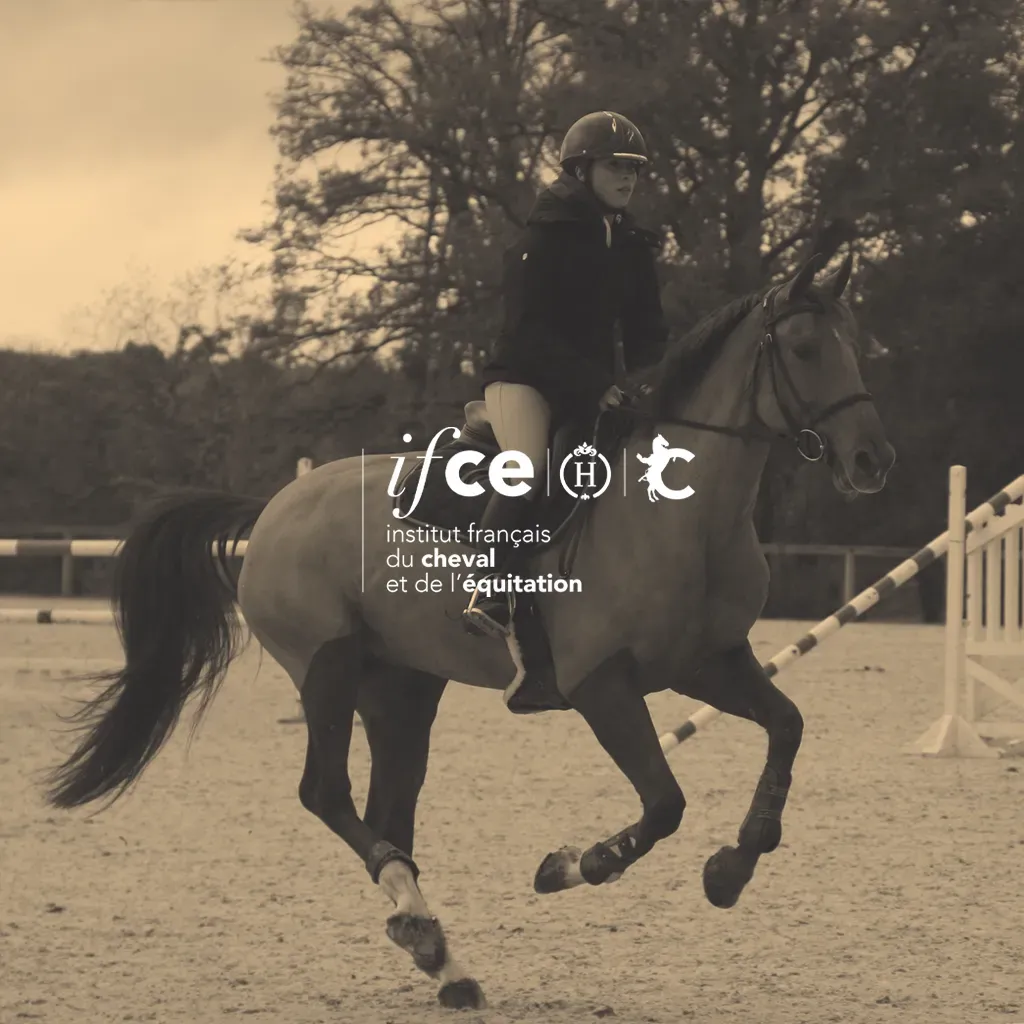 PORTES OUVERTES - IFCE SAUMUR (54)