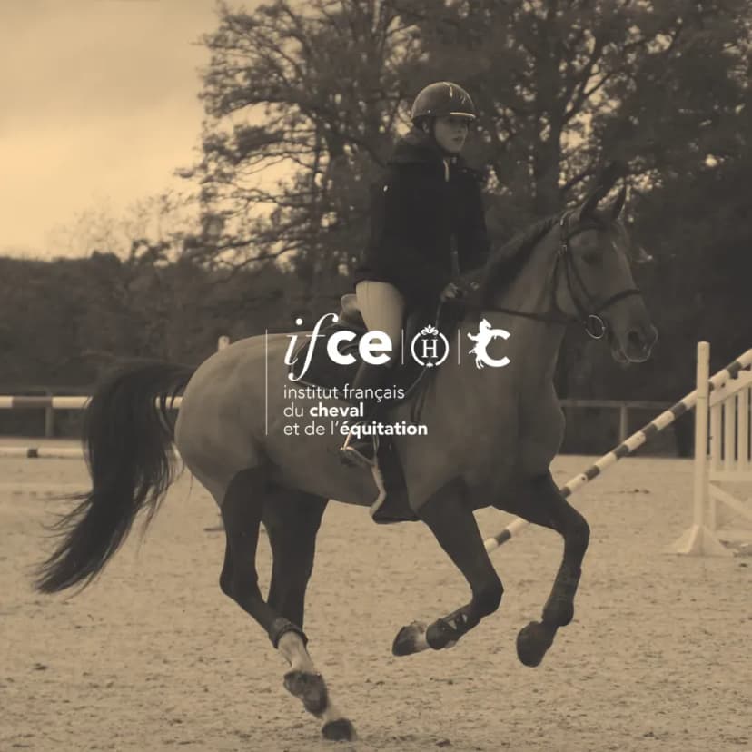 PORTES OUVERTES - IFCE SAUMUR (54)