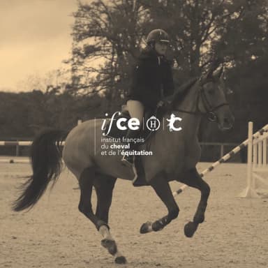 PORTES OUVERTES - IFCE SAUMUR (54)