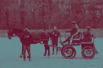 CS Traction Equine et Conduite d’Attelages