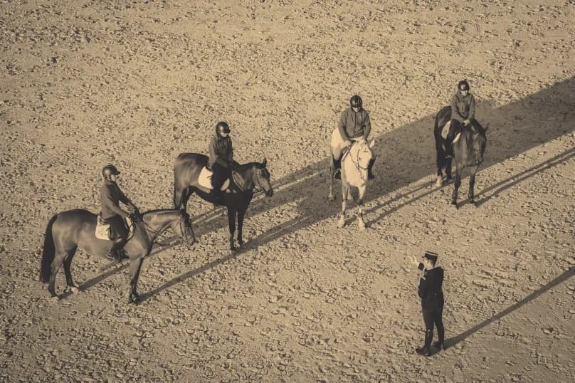DESJEPS Équitation